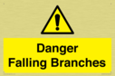 danger-falling-branches~